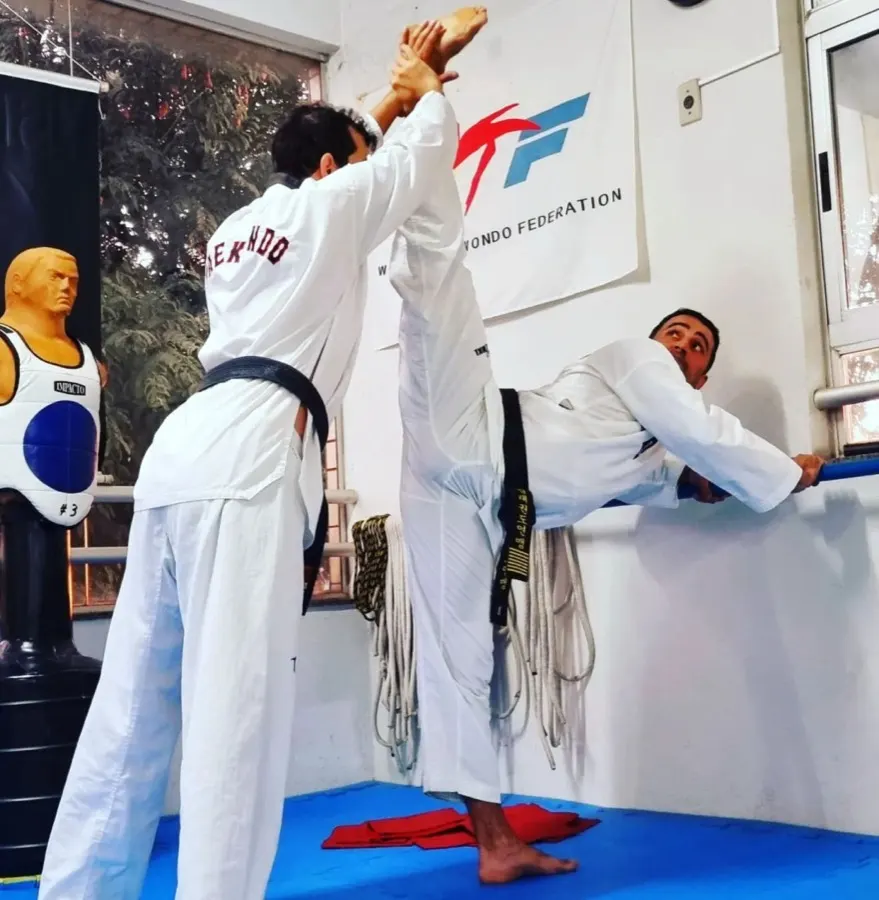 Aula de Taekwondo